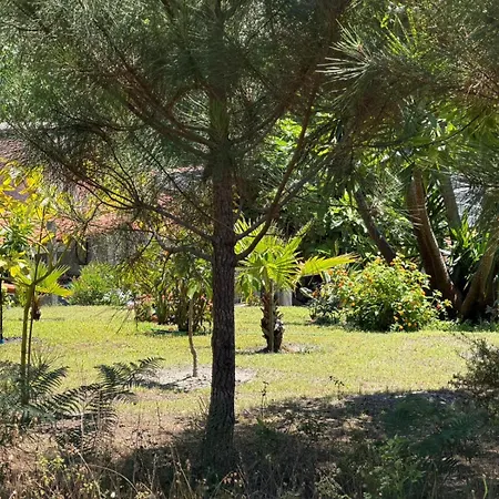 Paraíso Flores Apartamento
